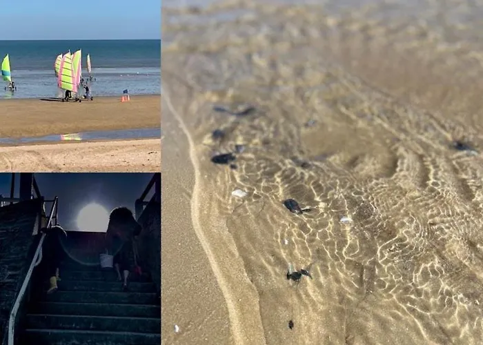 Seashore Hideaway Appartement